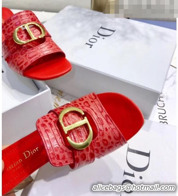 Top Grade Dior 30 MONTAIGNE Heeled Slide Sandals in Crocodile Pattern Calfskin CD1409 Red 2020