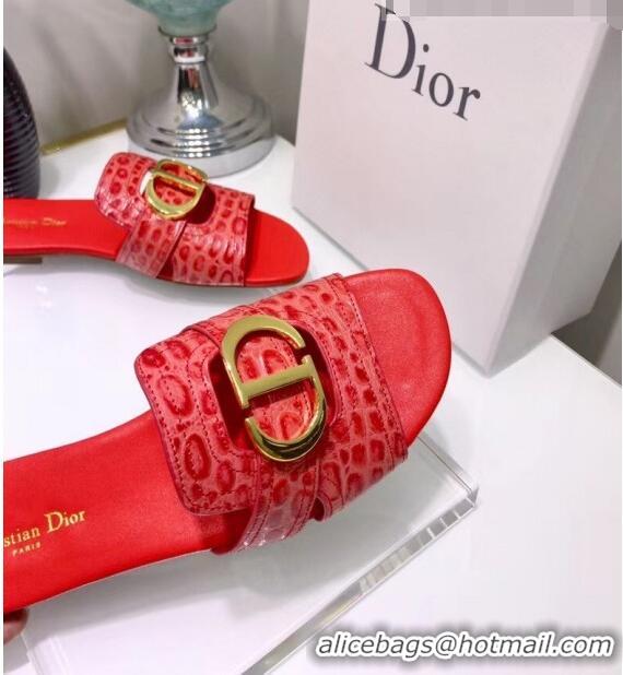 Classic Specials Dior 30 MONTAIGNE Mule Flat Sandals in Crocodile Pattern Calfskin CD1410 Red 2020