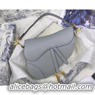 Practical DIOR GRAY STONE SADDLE GRAIN CALFSKIN BAG M0446C