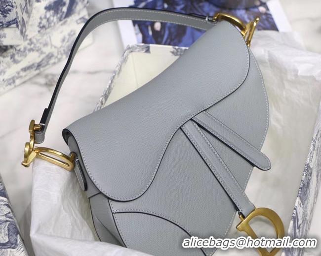 Practical DIOR GRAY STONE SADDLE GRAIN CALFSKIN BAG M0446C