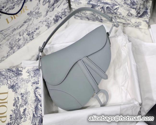 Classic DIOR GRAY STONE SADDLE MATTE CALFSKIN BAG M0446I