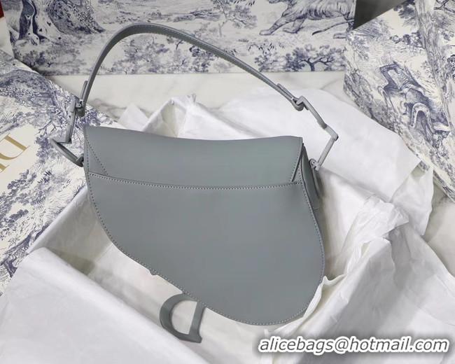 Classic DIOR GRAY STONE SADDLE MATTE CALFSKIN BAG M0446I