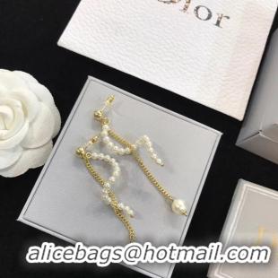 Perfect Dior Earrings CE4517