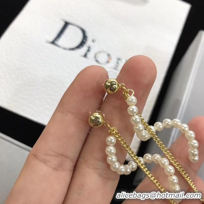 Perfect Dior Earrings CE4517