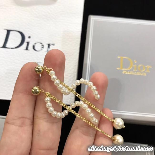 Perfect Dior Earrings CE4517