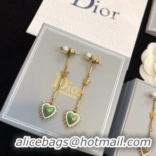 Practical Dior Earrings CE4595