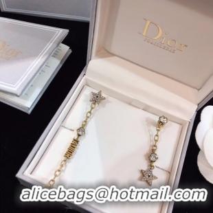 Unique Style Dior Earrings CE4781