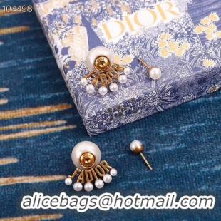 Best Price Dior Earrings CE4784