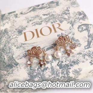 Best Product Dior Earrings CE4785