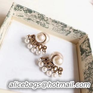 Pretty Style Dior Earrings CE4786