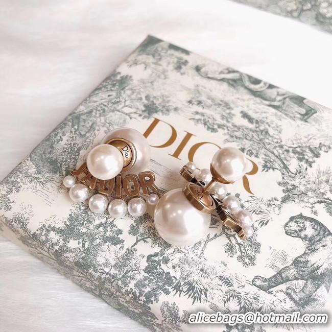 Pretty Style Dior Earrings CE4786