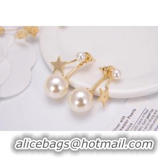 Top Grade Dior Earrings CE4788