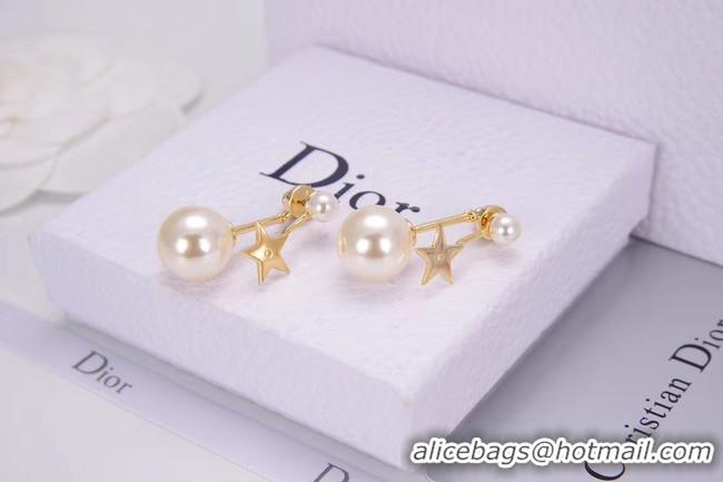 Top Grade Dior Earrings CE4788