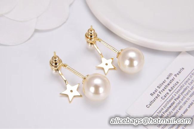 Top Grade Dior Earrings CE4788