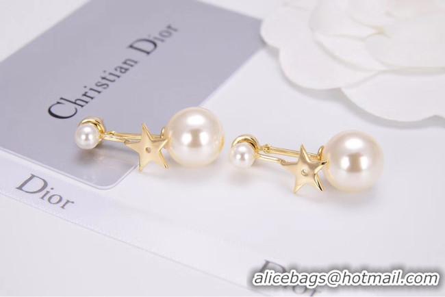 Top Grade Dior Earrings CE4788