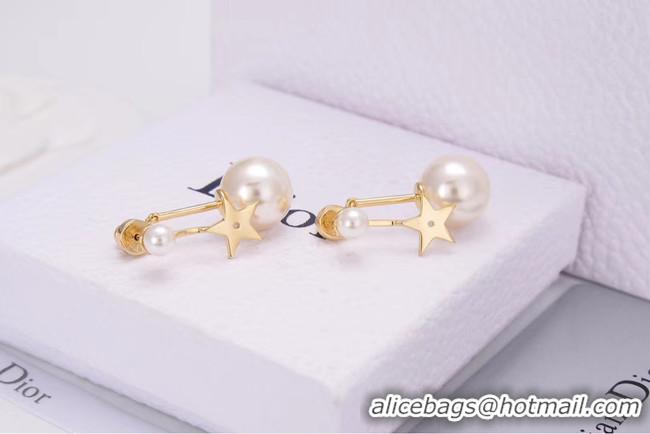 Top Grade Dior Earrings CE4788