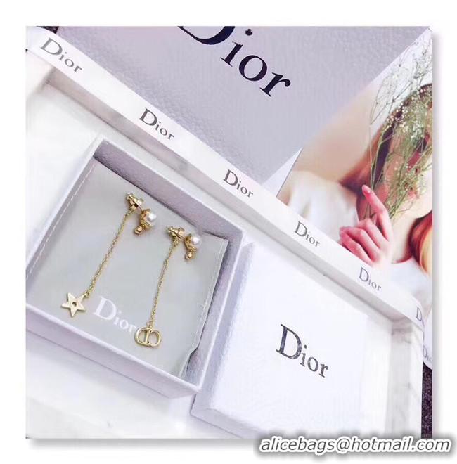 Popular Style Dior Earrings CE4801