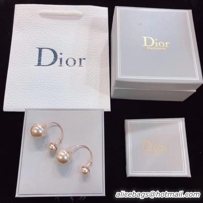 Luxury Dior Earrings CE4802