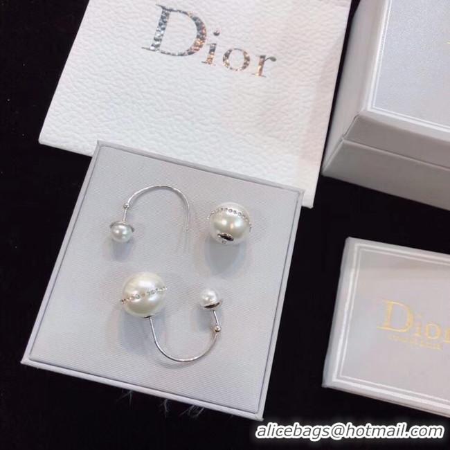 Luxury Dior Earrings CE4802