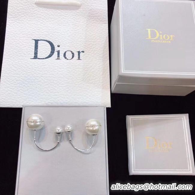 Luxury Dior Earrings CE4802