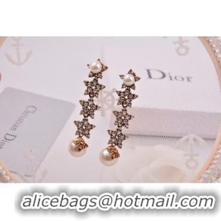 Classic Hot Dior Earrings CE4806