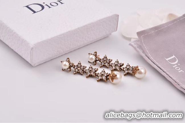 Classic Hot Dior Earrings CE4806