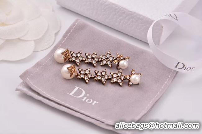 Classic Hot Dior Earrings CE4806