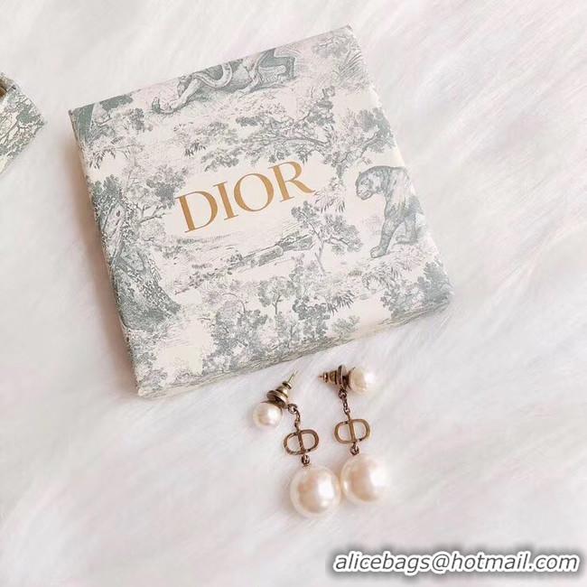 Low Price Dior Earrings CE4888