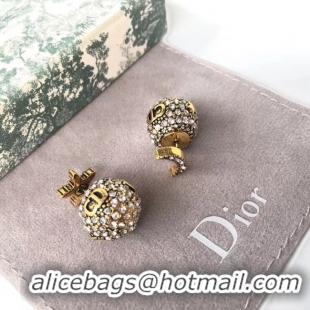 Shop Duplicate Dior Earrings CE4889