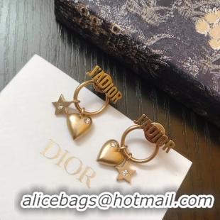 Fashion Dior Earrings CE4891