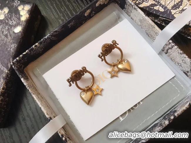 Fashion Dior Earrings CE4891