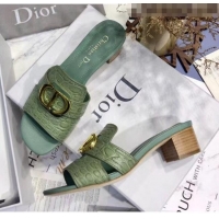 Buy Discount Dior 30 MONTAIGNE Heeled Slide Sandals in Crocodile Pattern Calfskin CD1405 Light Green 2020