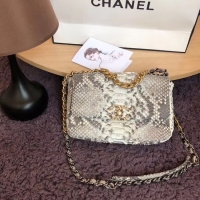 Luxury Cheap CHANEL 19 Flap Bag Original Snake skin flap bag AS1160 grey