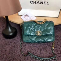 Luxury CHANEL 19 Flap Bag Original Snake skin flap bag AS1160 green