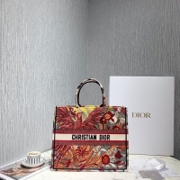 Sumptuous DIOR BOOK TOTE BAG IN EMBROIDERED CANVAS C1286-4