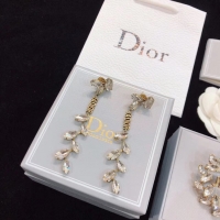 Sumptuous Dior Earrings CE4782