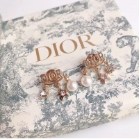 Best Product Dior Earrings CE4785