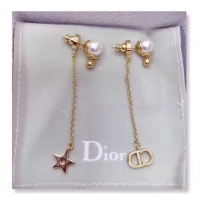 Popular Style Dior Earrings CE4801