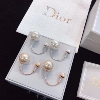 Luxury Dior Earrings CE4802