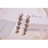 Classic Hot Dior Earrings CE4806