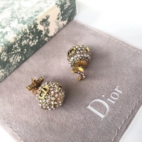 Shop Duplicate Dior Earrings CE4889