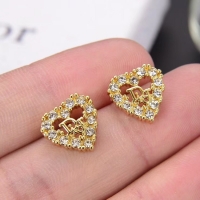 Top Design Dior Earrings CE4890