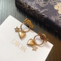 Fashion Dior Earrings CE4891