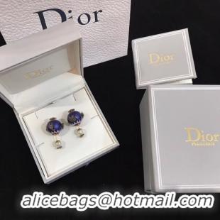 Pretty Style Dior Earrings CE4894