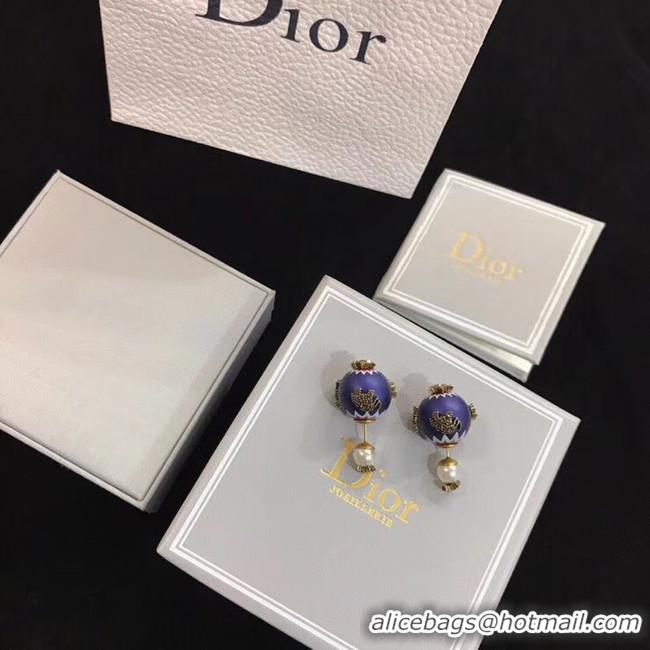 Pretty Style Dior Earrings CE4894