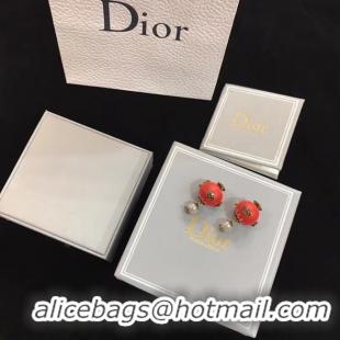 Discount Dior Earrings CE4895