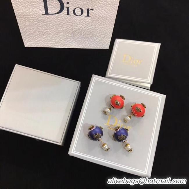 Discount Dior Earrings CE4895