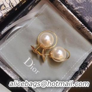 Best Product Dior Earrings CE4896