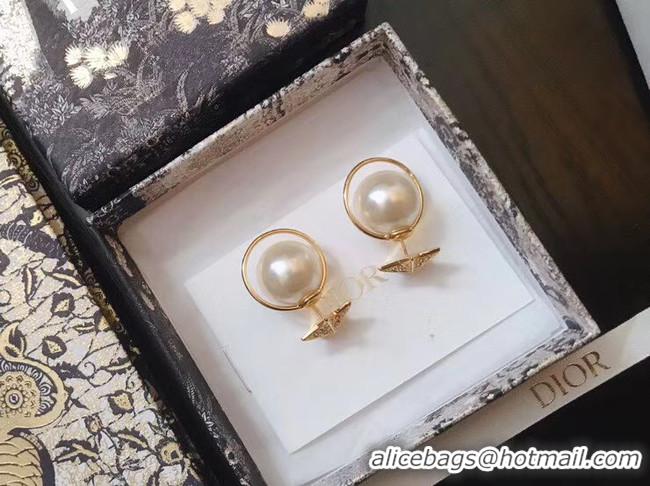 Best Product Dior Earrings CE4896