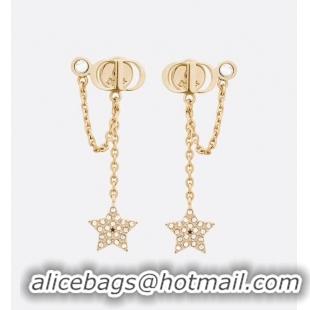 Best Product Dior Earrings CE4898